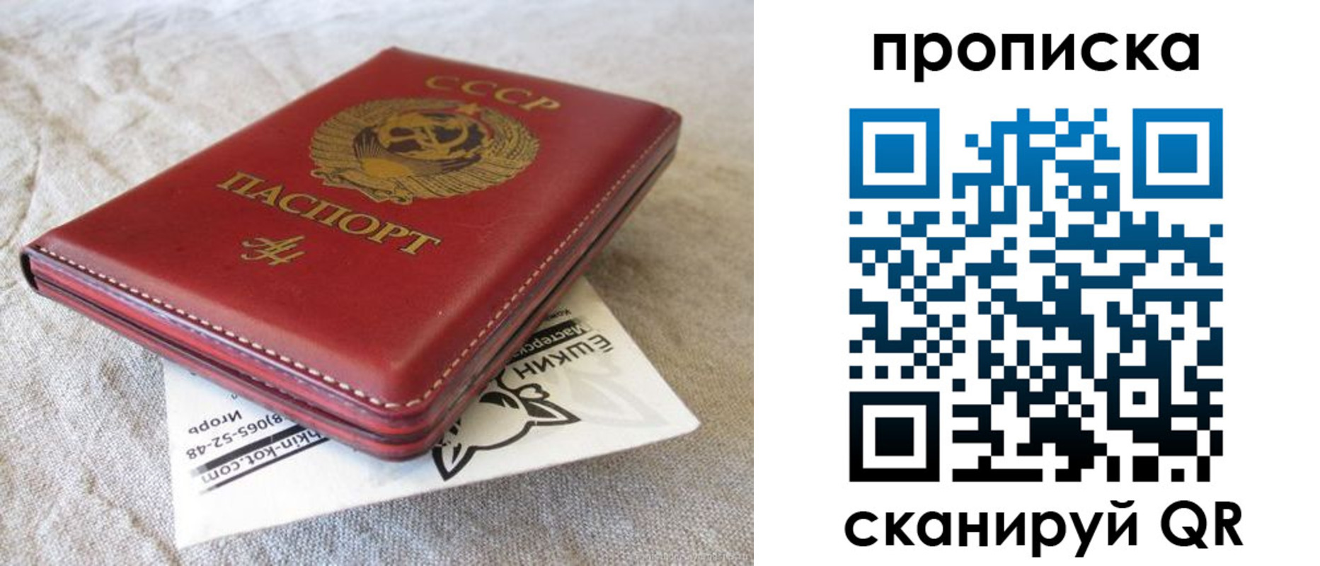 прописка для школы в Звенигороде